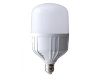 Lâmpada Alta Potência LED 27W Bivolt 6500K Tramontina 58025/001 40351 40351