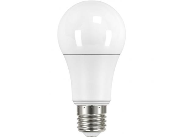 Lâmpada Bulbo LED 14W Bivolt 6500K Tramontina 58020/005 40352 40352