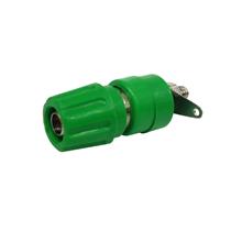 Borne com Rosca Verde B-19 41846 41846 