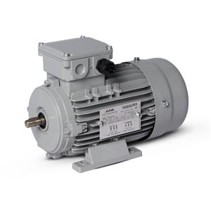 Motor Elétrico Trifásico 1CV 4 Polos Motronics 220/380V MT25-8024 43255 43255 