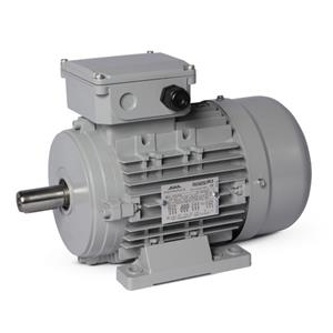 Motor Elétrico Trifásico 5CV 4 Polos Motronics 220/380V MT25-10064 43262 43262 