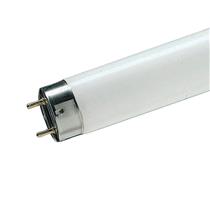 Lâmpada Fluorescente 15W Luz do Dia G 23 4747 4747