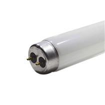 Lâmpada Fluorescente 10W T-8 5091 5091