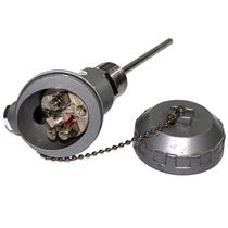 Termoresistência PT 100 6mm x 100mm rosca 3/4" BSP Cabeçote Pequeno 15064 15064