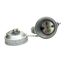 Termoresistência PT 100 6mm x 100mm rosca 1/2" BSP Cabeçote Pequeno 23897 23897