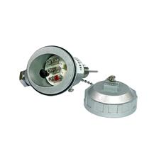 Termoresistência PT 100 3mm x 30mm rosca 3/8" BSP Cabeçote Pequeno 36887 36887