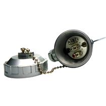 Termoresistência PT 100 6mm x 300mm rosca 1/2" BSP Cabeçote Pequeno 14982 14982