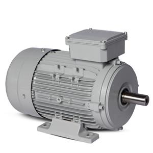 Motor Elétrico Trifásico 4CV 2 Polos Motronics 220/380V MT25-L9022 43263 
