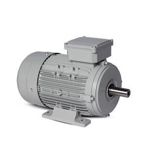 Motor Elétrico Trifásico 1,5CV 4 Polos Motronics 220/380V MT25-8034 43257 43257 