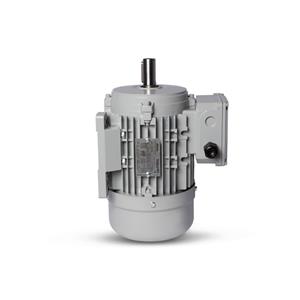 Motor Elétrico Trifásico 1/2CV 4 Polos Motronics 220/380V MT25-7124 43252 43252 