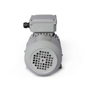 Motor Elétrico Trifásico 1CV 2 Polos Motronics 220/380V MT25-7132 43256 43256 