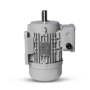 Motor Elétrico Trifásico 2CV 4 Polos Motronics 220/380V MT25-9064 43259 43259 