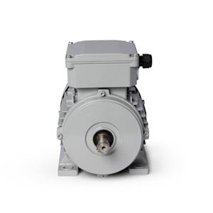 Motor Elétrico Trifásico 3/4CV 4 Polos Motronics 220/380V MT25-7134 43253 43253 