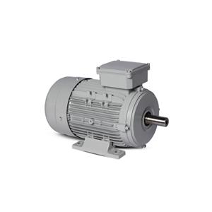 Motor Elétrico Trifásico 3/4CV 4 Polos Motronics 220/380V MT25-7134 43253 43253 