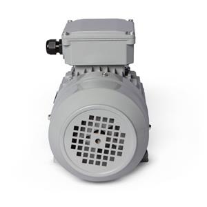 Motor Elétrico Trifásico 2CV 2 Polos Motronics 220/380V MT25-8032 43258 43258 