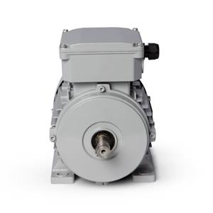 Motor Elétrico Trifásico 1CV 4 Polos Motronics 220/380V MT25-8024 43255 43255 