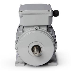 Motor Elétrico Trifásico 5CV 4 Polos Motronics 220/380V MT25-10064 43262 43262 