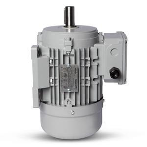 Motor Elétrico Trifásico 5CV 4 Polos Motronics 220/380V MT25-10064 43262 43262 