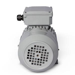 Motor Elétrico Trifásico 5CV 4 Polos Motronics 220/380V MT25-10064 43262 43262 