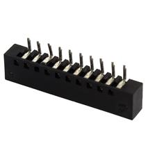 Conector 10 Vias 180° (MDW00010) 8289 8289 